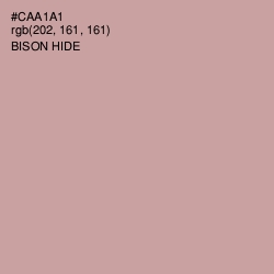 #CAA1A1 - Bison Hide Color Image